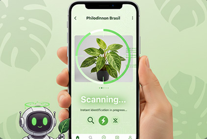 AI analyzing plant photo to identify species and health condition